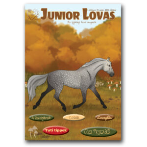 Junior Lovas Magazin