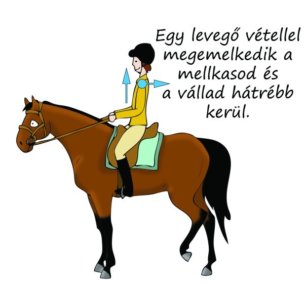 Tombor Mónika - Gombóc paci a lovaglásról könyv - Image 4