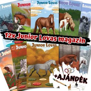 Junior Lovas magazin, Karácsonyi kiadás