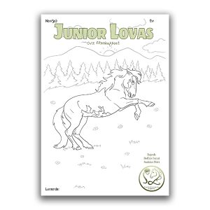 Junior Lovas Ovis Munkafüzet