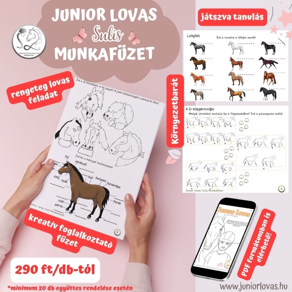 sulis-munkafuzet-promokep