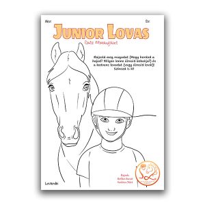 Junior Lovas Sulis Munkafüzet