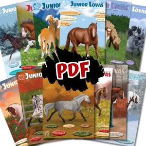 Junior Lovas Magazin 2023. évad, digitális